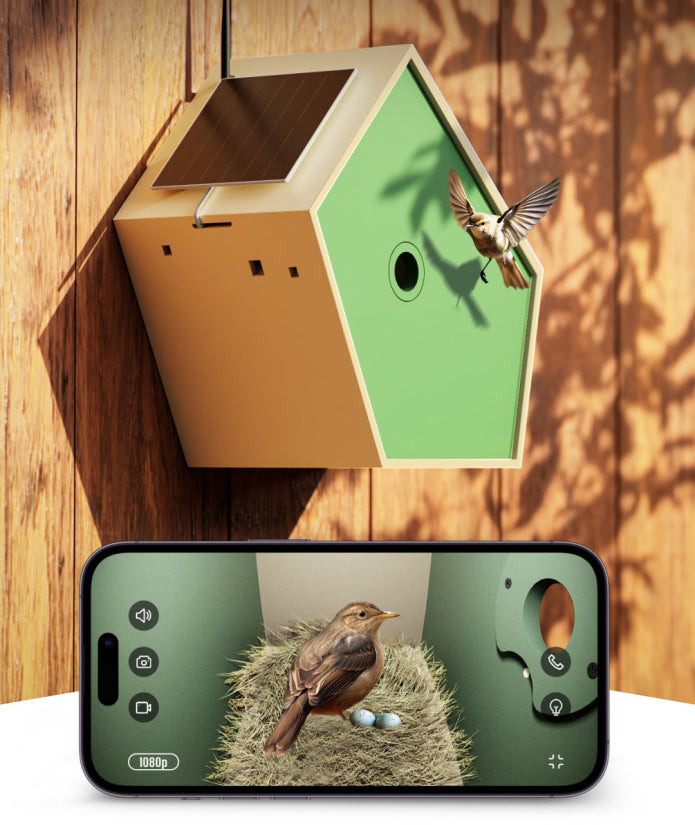 Birdy Box Smart Bird House